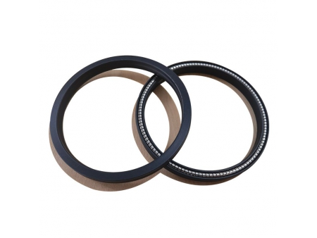 Helical Spring Energized Seal