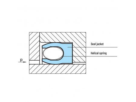 Helical Spring Energized Seal