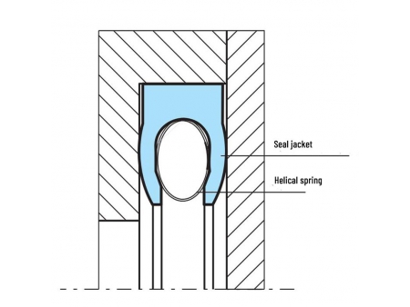 Spring Energized Face Seal