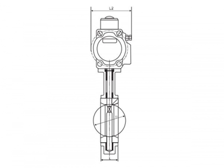 Pneumatic Actuated Butterfly Valve