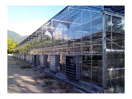 Greenhouse Glass