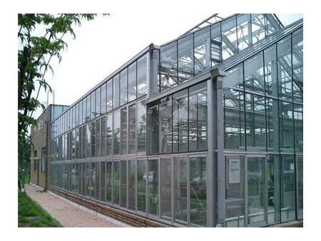 Greenhouse Glass