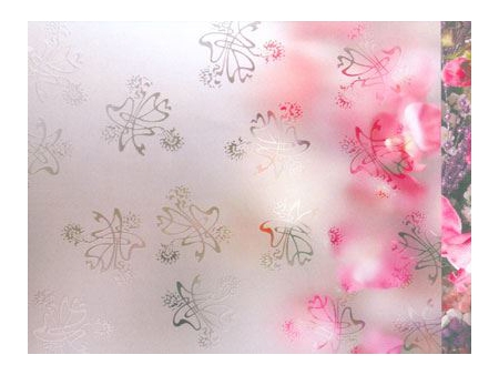 Acid Etched Patterned Glass