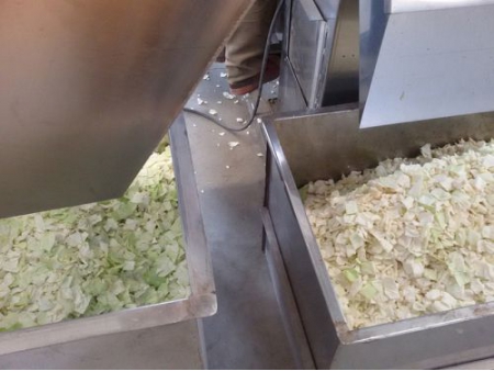 Commercial  Grading & Separating  Equipment for  Vegetables, Fruits and Seafood