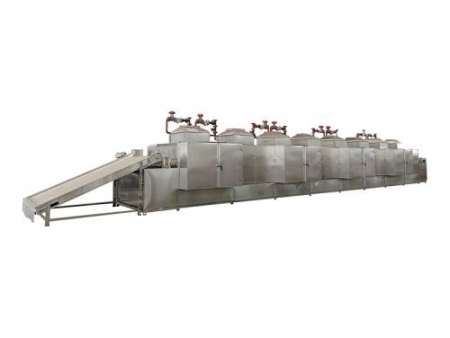 Single-Layer Belt Dryer