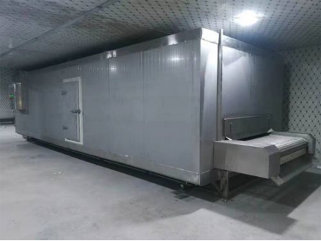 IQF Tunnel Freezer