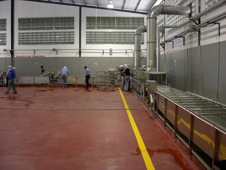 Fruit and Vegetable Processing Line