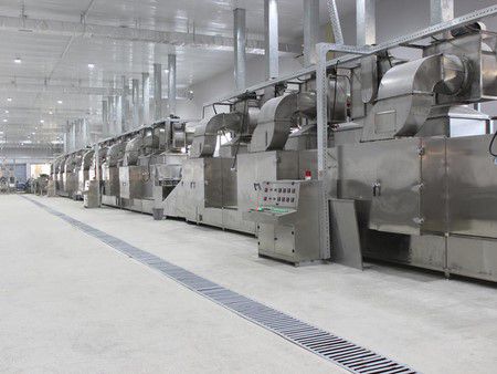 Fruit and Vegetable Processing Line