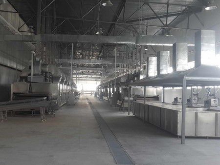 Fruit and Vegetable Processing Line