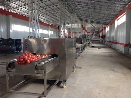 Fruit and Vegetable Processing Line