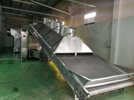 Fruit and Vegetable Processing Line