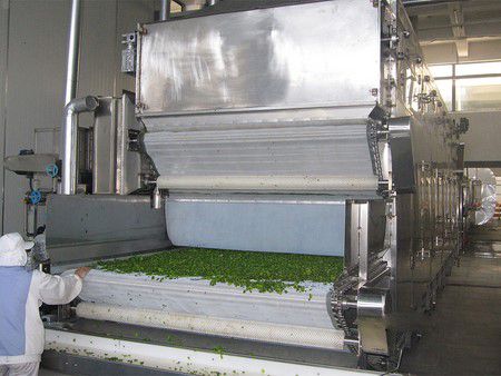 Fruit and Vegetable Processing Line