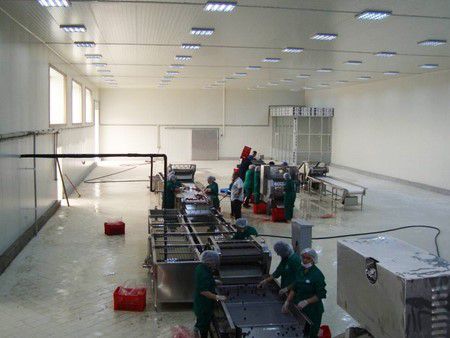 Fruit and Vegetable Processing Line