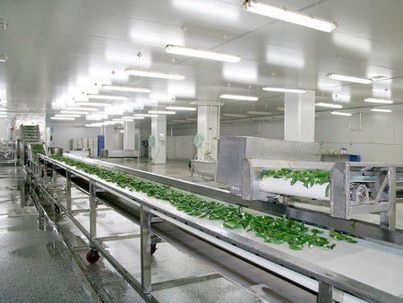 Fruit and Vegetable Processing Line