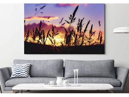 Aqueous Poly-Cotton Blend Canvas