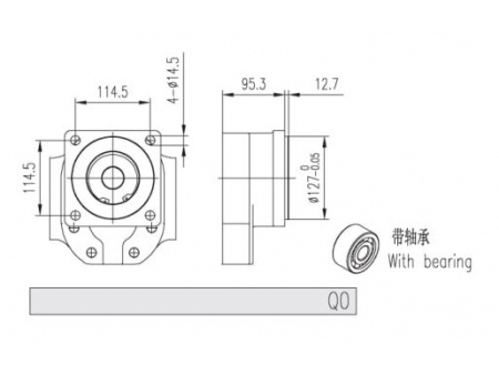 External Gear Pumps
