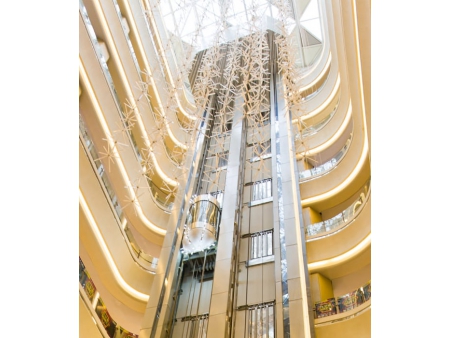 Observation Elevator