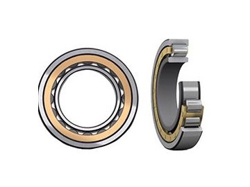 Single Row Cylindrical Roller Bearings