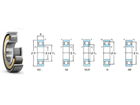 Single Row Cylindrical Roller Bearings