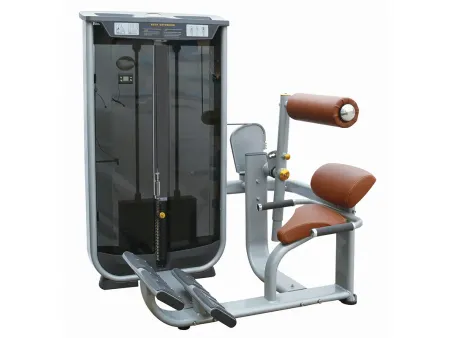 Back Extension Machine