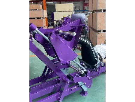 Dual 45 Degree Leg Press