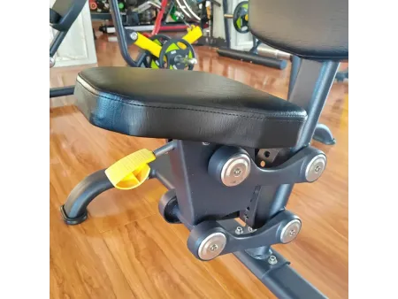 Bicep Curl Machine