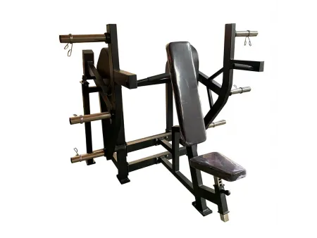 Seated Shoulder Press