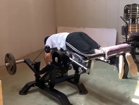 Seated Leg Extension/Prone Leg Curl