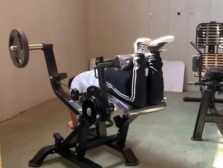 Seated Leg Extension/Prone Leg Curl