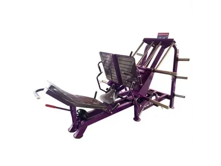 Dual 45 Degree Leg Press