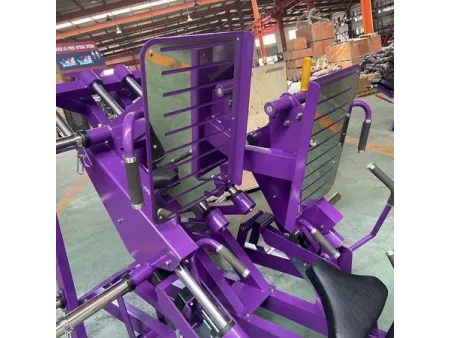 Dual 45 Degree Leg Press