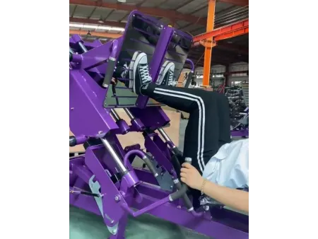 Dual 45 Degree Leg Press