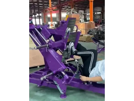 Dual 45 Degree Leg Press