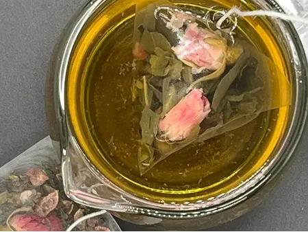 Nylon Teabag Filter