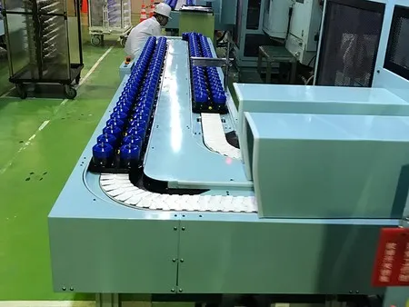Conveyor System Solutions  Twin Track Pallet Conveyor