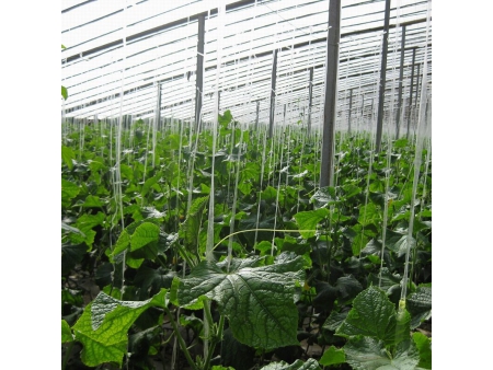 PLA, PHA Biodegradable Film Extrusion Line