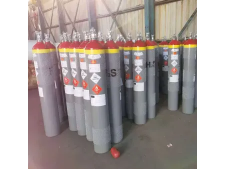 Hydrogen Sulfide (H 2 S)