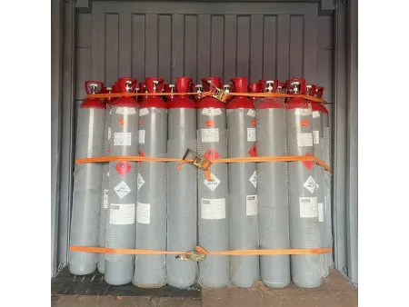 Hydrogen Sulfide (H 2 S)