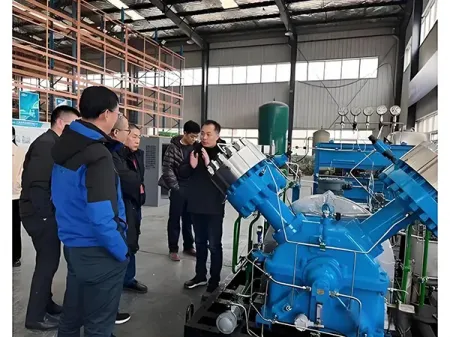 Diaphragm Compressor