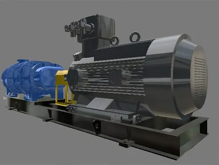 Steam Screw Compressor