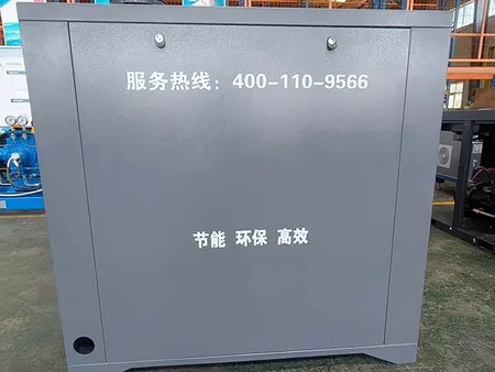 Screw Vacuum Pump