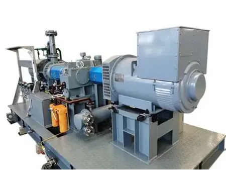 Steam Screw Expander