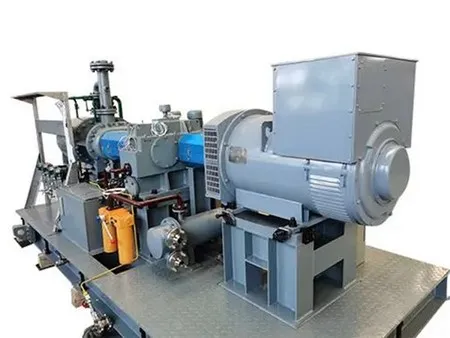 Steam Screw Expander