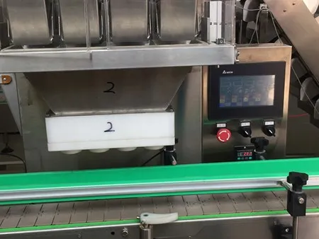 Multi-Head Weigher Filling Machine