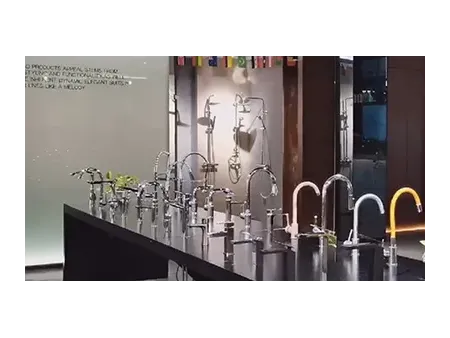 Double Handle Faucets