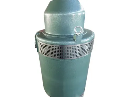 VFD Compatible Deep Well Pump Motor