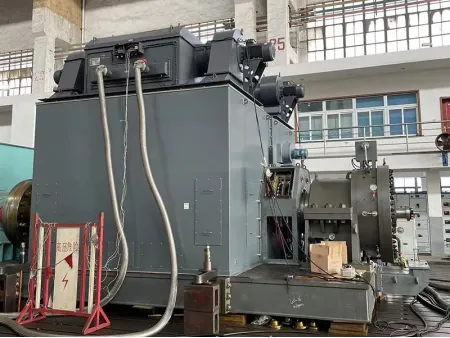 Heavy Duty High Voltage Motor