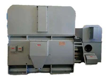 Heavy Duty High Voltage Motor