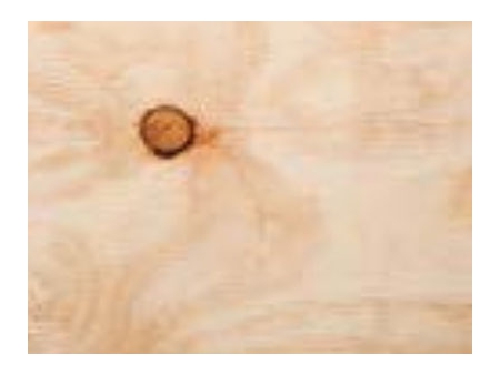Radiata Pine Faced Plywood