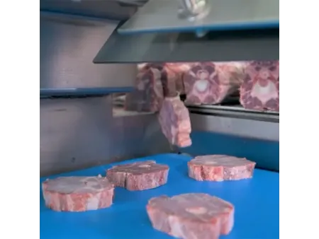 Automatic Bone Saw